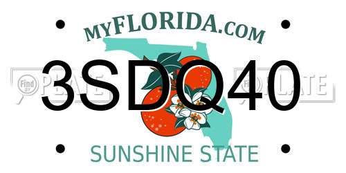 3SDQ40 Florida License Plate