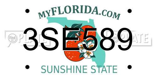 3SE589 Florida License Plate