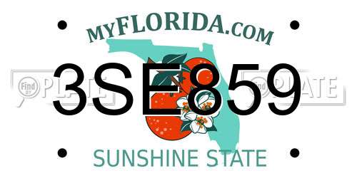 3SE859 Florida License Plate