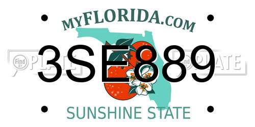 3SE889 Florida License Plate