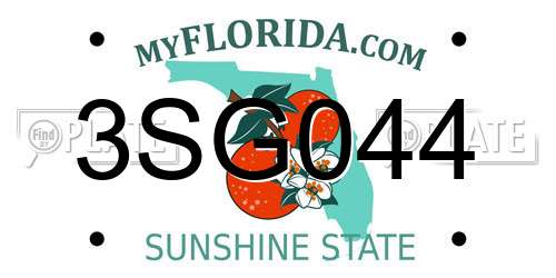 3SG044 Florida License Plate