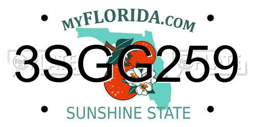 3SGG259 Florida License Plate