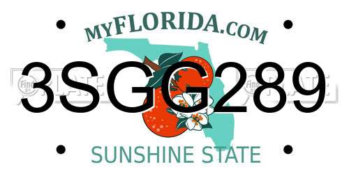 3SGG289 Florida License Plate