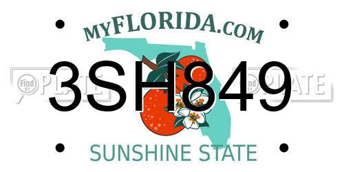 3SH849 Florida License Plate