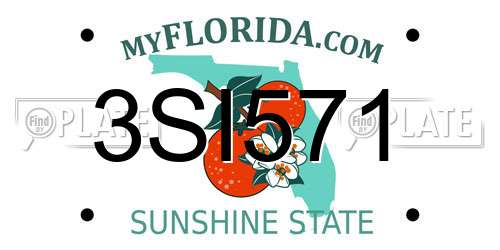 3SI571 Florida License Plate