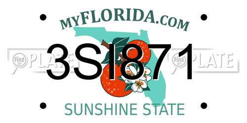 3SI871 Florida License Plate