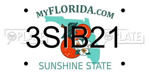 3SIB21 Florida License Plate