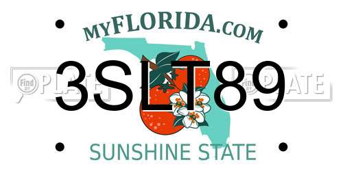 3SLT89 Florida License Plate