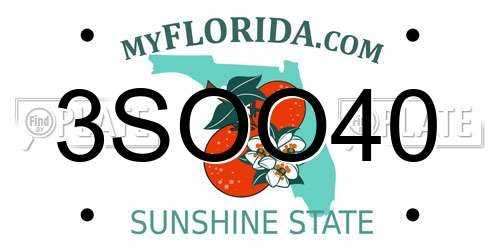 3SOO40 Florida License Plate