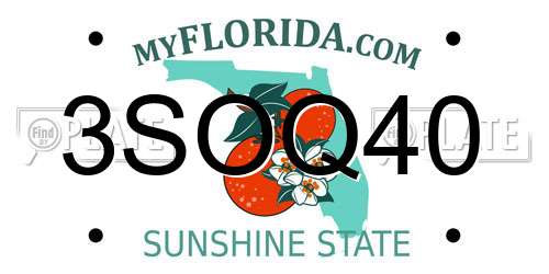3SOQ40 Florida License Plate