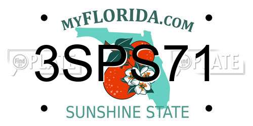 3SPS71 Florida License Plate