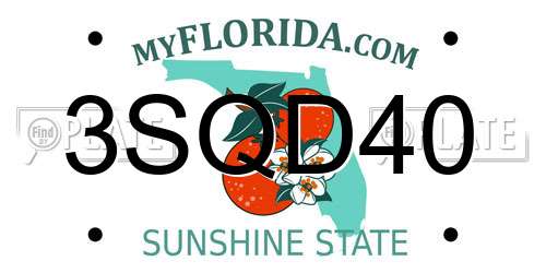 3SQD40 Florida License Plate