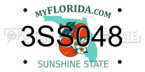 3SS048 Florida License Plate
