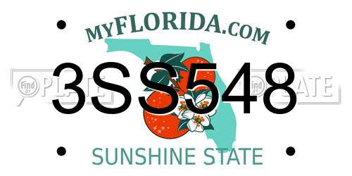 3SS548 Florida License Plate