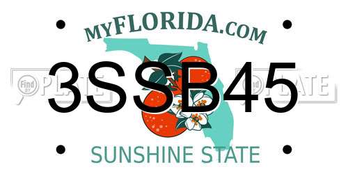 3SSB45 Florida License Plate