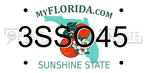 3SSO45 Florida License Plate