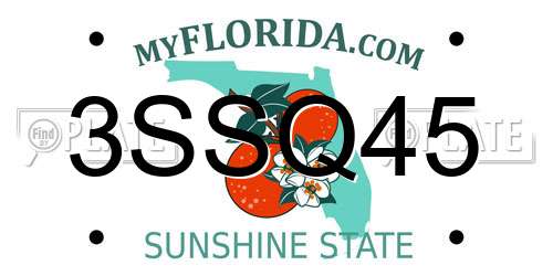 3SSQ45 Florida License Plate
