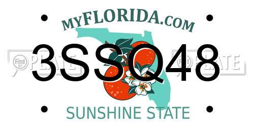3SSQ48 Florida License Plate