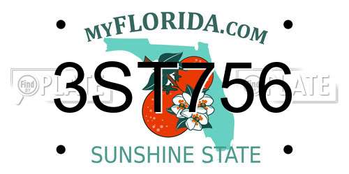 3ST756 Florida License Plate