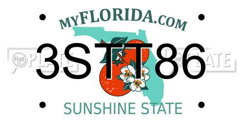 3STT86 Florida License Plate