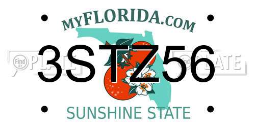 3STZ56 Florida License Plate