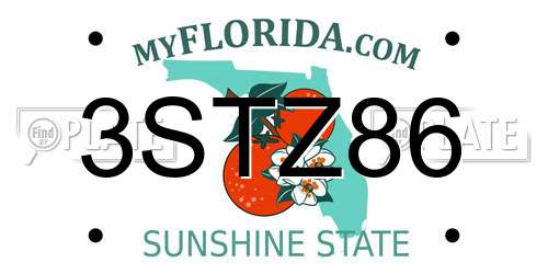 3STZ86 Florida License Plate