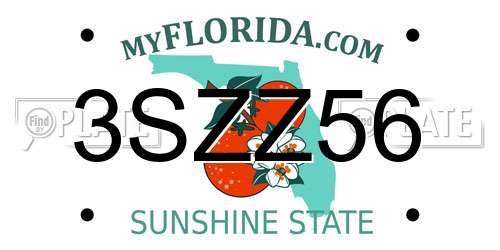 3SZZ56 Florida License Plate