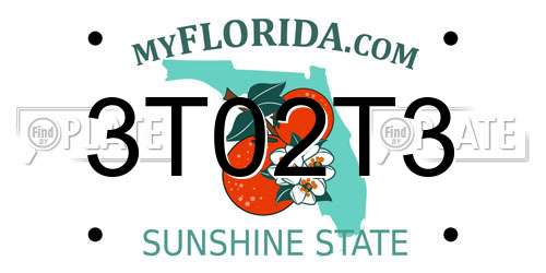 3T02T3 Florida License Plate