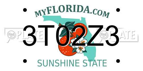 3T02Z3 Florida License Plate