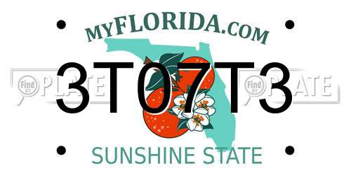 3T07T3 Florida License Plate