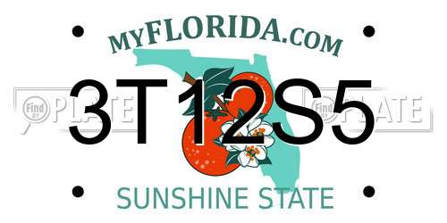 3T12S5 Florida License Plate