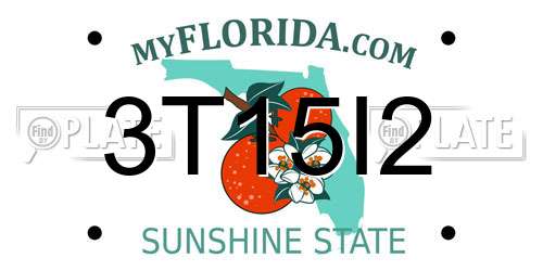 3T15I2 Florida License Plate
