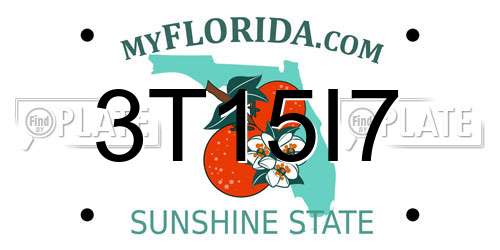 3T15I7 Florida License Plate