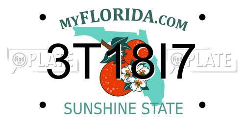 3T18I7 Florida License Plate