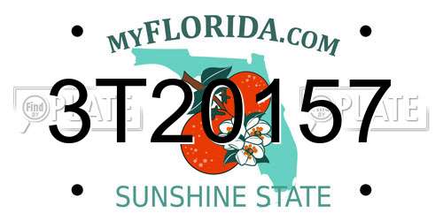 3T20157 Florida License Plate