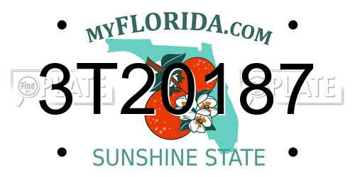 3T20187 Florida License Plate