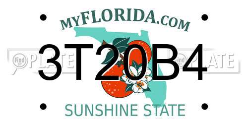 3T20B4 Florida License Plate