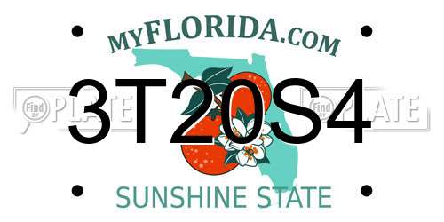 3T20S4 Florida License Plate