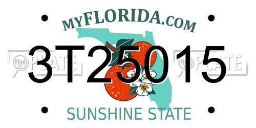 3T25015 Florida License Plate