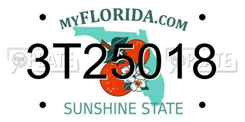 3T25018 Florida License Plate