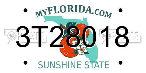 3T28018 Florida License Plate