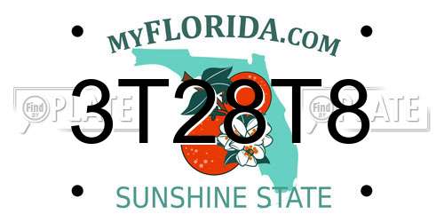 3T28T8 Florida License Plate
