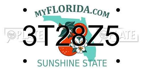 3T28Z5 Florida License Plate