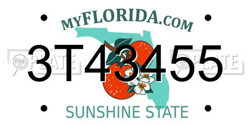 3T43455 Florida License Plate