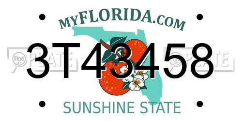 3T43458 Florida License Plate