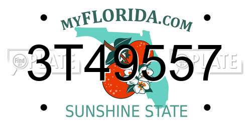 3T49557 Florida License Plate