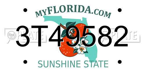 3T49582 Florida License Plate