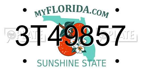 3T49857 Florida License Plate