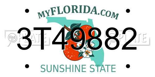 3T49882 Florida License Plate