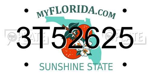 3T52625 Florida License Plate